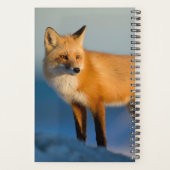 Brown Fox Planer (Rückseite)