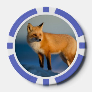 Brown Fox Pokerchips