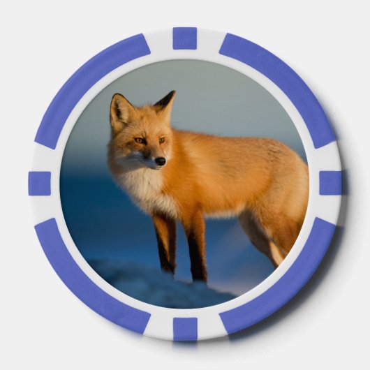 Brown Fox Pokerchips (Vorderseite)