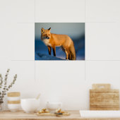 Brown Fox Poster (Küche)