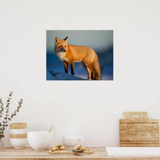 Brown Fox Poster (Küche)