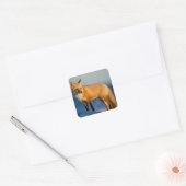 Brown Fox Quadratischer Aufkleber (Umschlag)