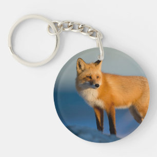 Brown Fox Schlüsselanhänger