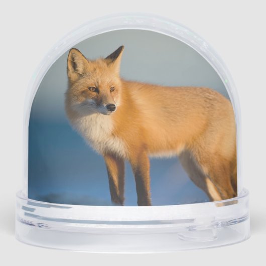 Brown Fox Schneekugeln (Rückseite)