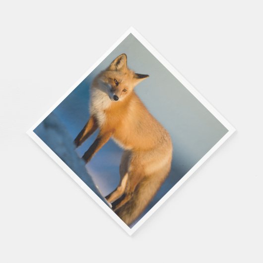 Brown Fox Serviette (Ecke)