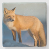 Brown Fox Steinuntersetzer (Vorderseite)