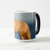 Brown Fox Tasse (VorderseiteRechts)