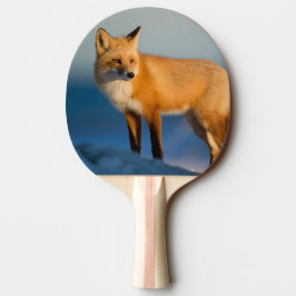 Brown Fox Tischtennis Schläger