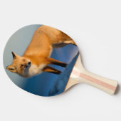 Brown Fox Tischtennis Schläger (Seitenansicht)