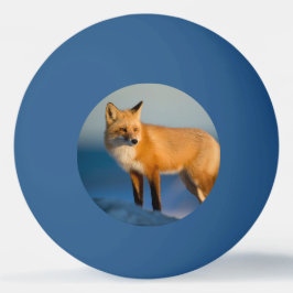 Brown Fox Tischtennisball
