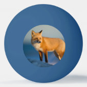 Brown Fox Tischtennisball (Rückseite)