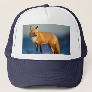 Brown Fox Truckerkappe