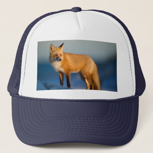 Brown Fox Truckerkappe (Vorderseite)