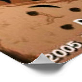 Brown Gator Poster (Ecke)