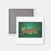 Brown Gepunktet Bengalisch Magnet (Vorderseite/Rückseite)