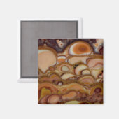 Brown Gepunktet Onyx Magnet (Vorderseite/Rückseite)