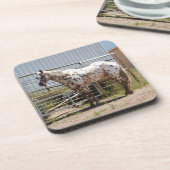 Brown gepunktete Appaloosa-PferdeUntersetzer Untersetzer (Linke Seite)