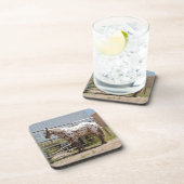 Brown gepunktete Appaloosa-PferdeUntersetzer Untersetzer (Rechte Seite)