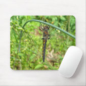 Brown Gold Dragonfly Mousepad (Mit Mouse)