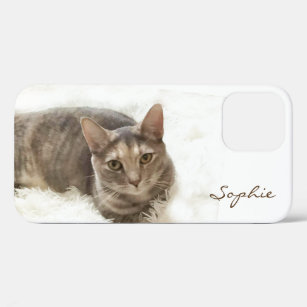 Brown Grey Tabby Cat iPhone 12 Fall Case-Mate iPhone Hülle
