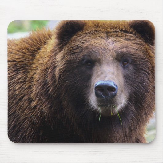 Brown-Grizzlybär Mousepad (Vorne)