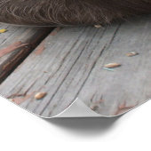 Brown Guinea Pig Poster (Ecke)