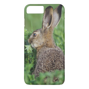 Brown Hare, Lepus europaeus, young eat, Case-Mate iPhone Hülle