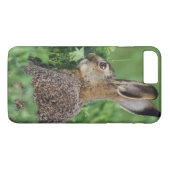Brown Hare, Lepus europaeus, young eat, Case-Mate iPhone Hülle (Rückseite (Horizontal))