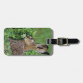 Brown Hare, Lepus europaeus, young eat, Gepäckanhänger (Vorderseite horizontal)