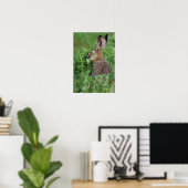 Brown Hare, Lepus europaeus, young eat, Poster (Heimbüro)