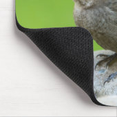 Brown Headed Cowbird Mousepad (Ecke)