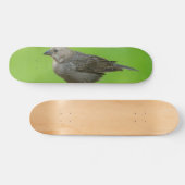 Brown Headed Cowbird Skateboard (Horizontal)