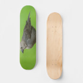 Brown Headed Cowbird Skateboard (Vorderseite)