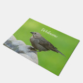 Brown Headed Cowbird Willkommen Doormat Fußmatte (Schrägansicht)