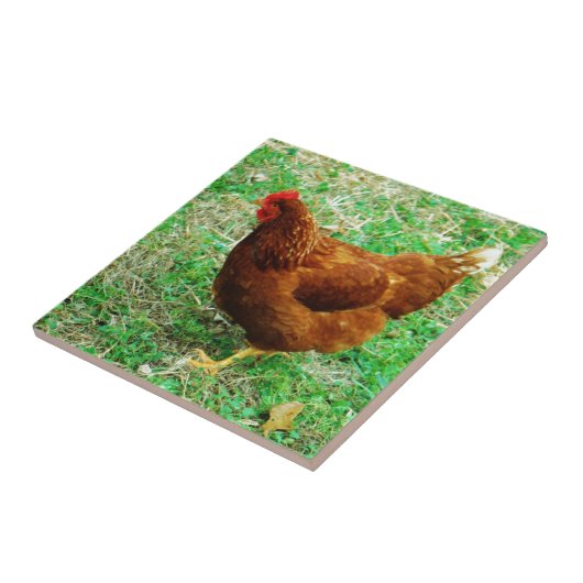 Brown Hen Fliese (Seite)