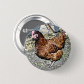 Brown-Henne auf dem Hinterhof Button (Vorne & Hinten)