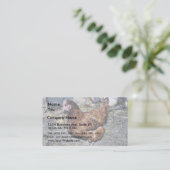 Brown-Henne auf dem Hinterhof Visitenkarte (Stehend Vorderseite)