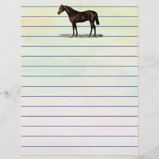 Brown Horse (Vorderseite)