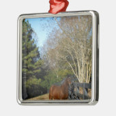 Brown Horse against a Fence Ornament Aus Metall (Links)