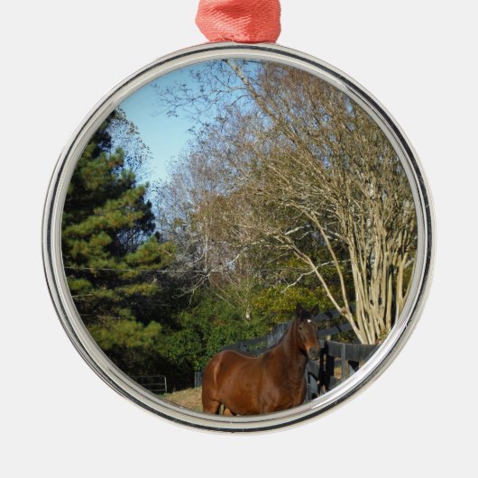 Brown Horse against a Fence Ornament Aus Metall (Vorne)