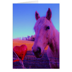 Brown Horse and Red Heart