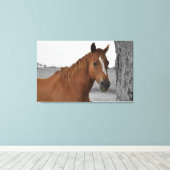 Brown Horse, B&W Background Leinwand (Insitu (Holzboden))