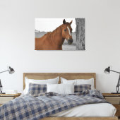 Brown Horse, B&W Background Leinwand (Insitu (Schlafzimmer))