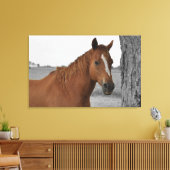 Brown Horse, B&W Background Leinwand (Insitu (Wohnzimmer))