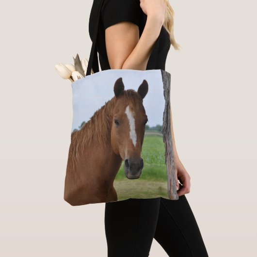 Brown Horse by Tree Tasche (Von Nahem)