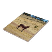 Brown_Horse_Country,_ Fliese (Seite)