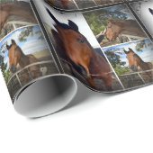 Brown Horse Foto Collage, Geschenkpapier (Rolleneckpunkt)