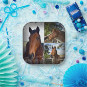 Brown Horse Foto Collage, Paper Tellers Pappteller (Party)