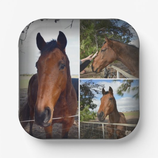 Brown Horse Foto Collage, Paper Tellers Pappteller (Vorderseite)