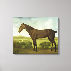 Brown Horse in a Hilly Landscape, c.1780-1800 (Öl) Leinwanddruck